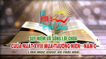 Chúa nhật XVIII Mùa Thường Niên – Năm C – Lm. Giuse Vũ Thái Hòa