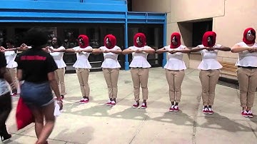 Lambda Epsilon Spring 2014 NIP