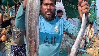 Big Catch Fishing in The Deep Sea With Big Boat | KADAL