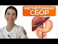 Желчегонный сбор