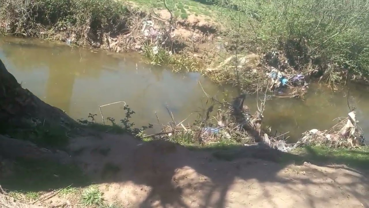 منظار منطقاة بلادي حشادة ازرو