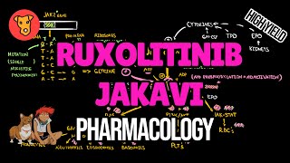 RUXOLITINIB (JAKAVI) Mechanism of action. Pharmacology. JAK2 mutation