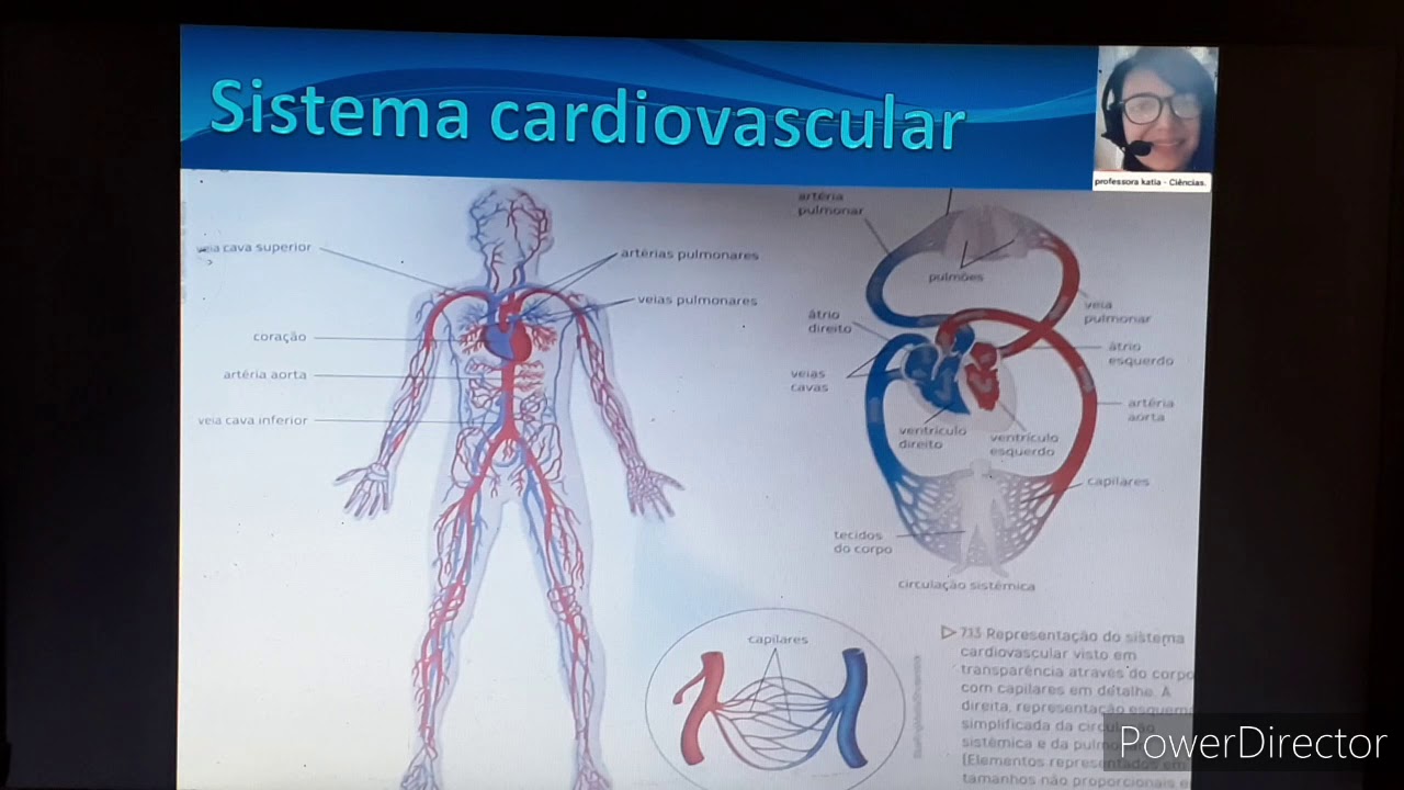 Revisão Pedagógica Modulo II - Ciências - 2º bimestre. 