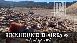 DISCOVERING a MOUNTAIN of AGATE in Utah (Geodes, Agates, Apache Tears, + more) Rock Hound Diaries #6