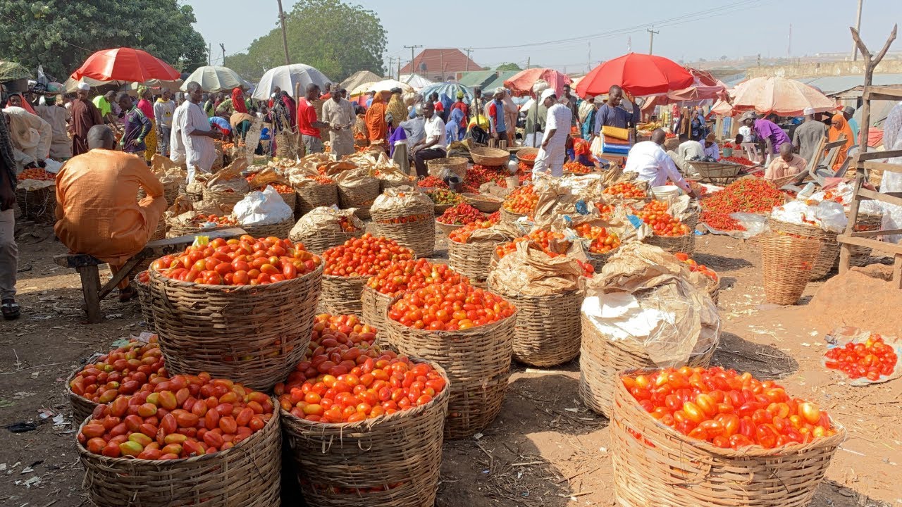 A Day in a Typical African Village Market 