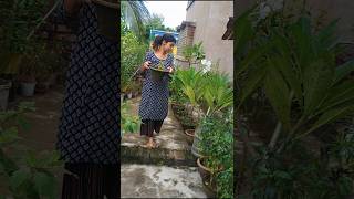 Free  তে গাছ পেয়ে গেলাম🤩#garden #green #world #shorts #trending #viralshorts #youtubeshorts