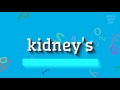 How to say "kidney