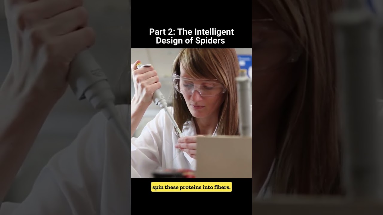 Spider Design Part 2 – Video