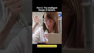 Design of Spiders Part 2
