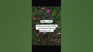 Thumbnail of 🦋🌹🦄🌹🦋 #phonkmusic #music #song #love #colonelkkjϟ #flowers