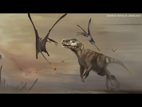 'Exquisite' skeleton of flying reptile found in Scotland