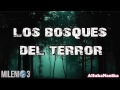 Milenio 3 - Los bosques del terror