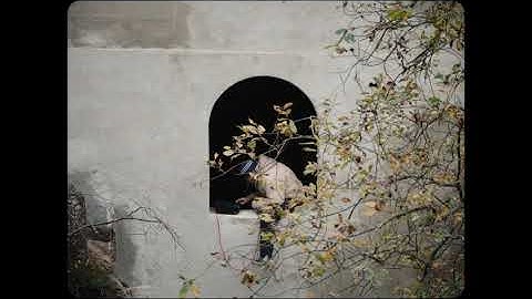 Ivan Ave - Windows Freestyle 1.0