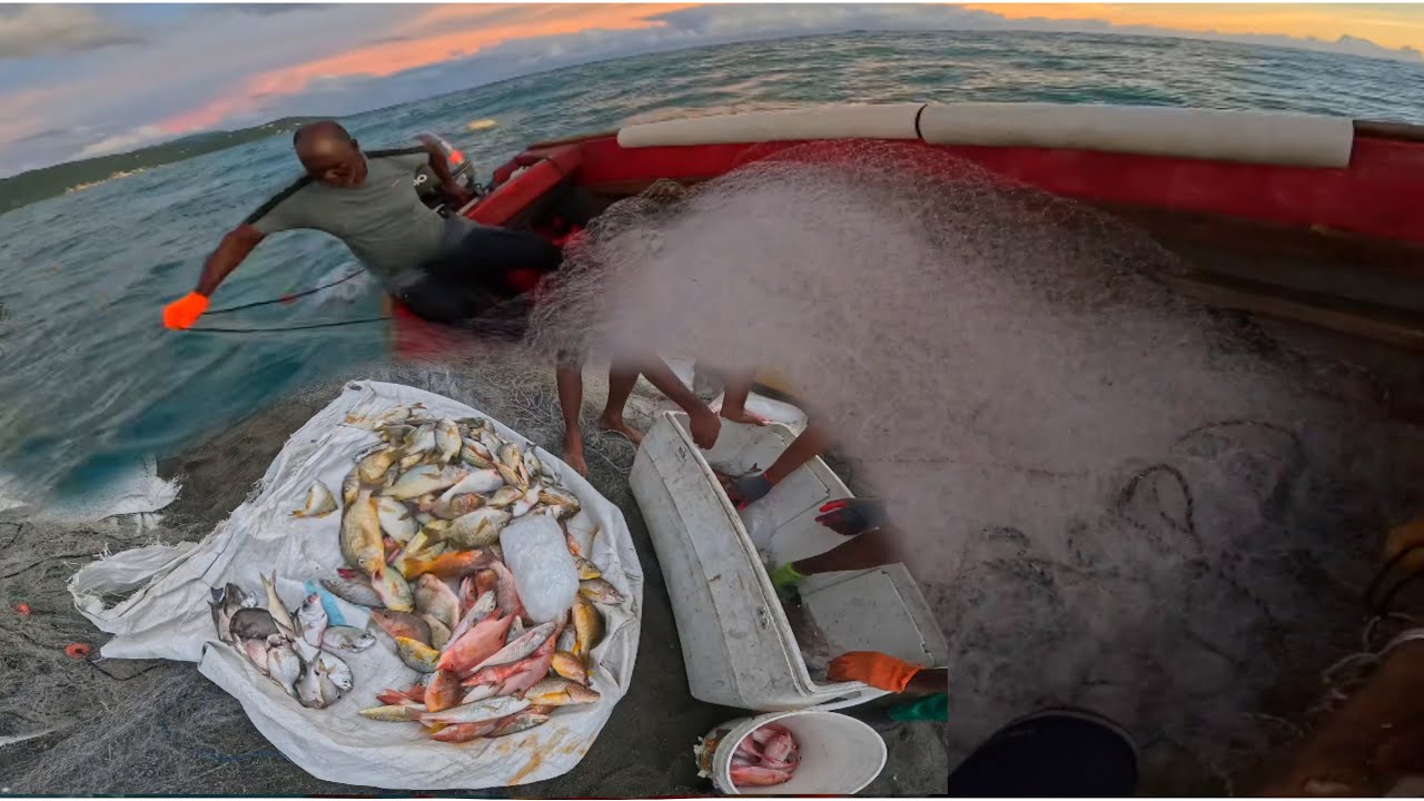 ОГРОМНЫЙ УЛОВ ИЗ СЕТЕЙ И ЛОВУШЕК ДО НАСТУПЛЕНИЯ УРАГАНА 5 КАТЕГОРИИ «МЕЛИССА»