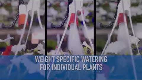 1479932728445 v0ch3x