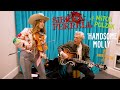 Handsome molly sierra ferrell  mitch polzak ameripolitan memphis bopflix sessions