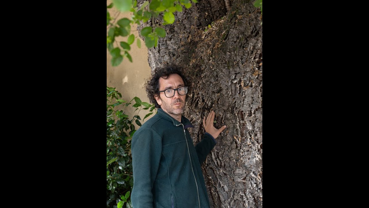 Sughera dell'Isolotto: Il confine tra il vecchio e il nuovo