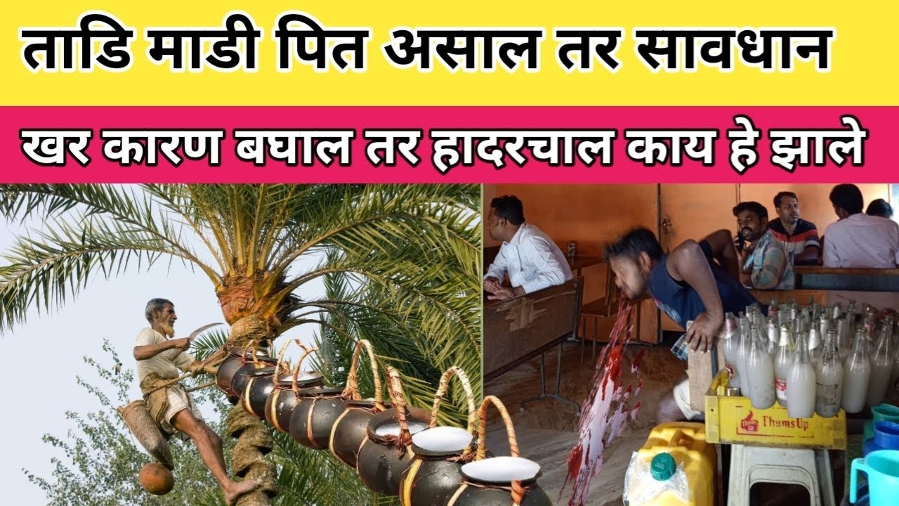 ताडि माडी पित असाल तर सावधान  ।।  खर कारण बघाल तर हादरचाल  ।।  😰😰😱