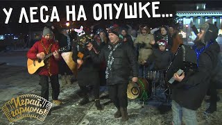 Зима («У леса на опушке...») | Ансамбль «Сибиряки» (г. Новосибирск) | Играй, гармонь!