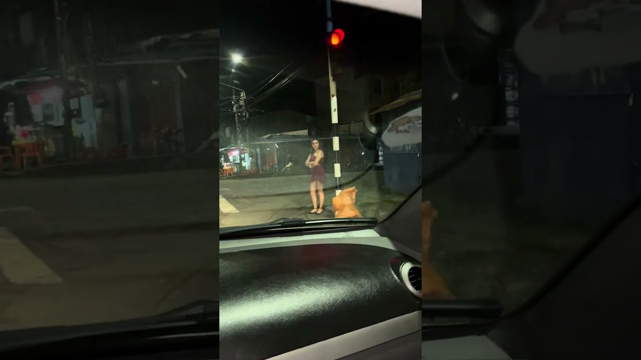 Amor en un cruce - pasa esto en el carro del amor parte 101 