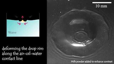 Oil drop impacts into a deep pool of water