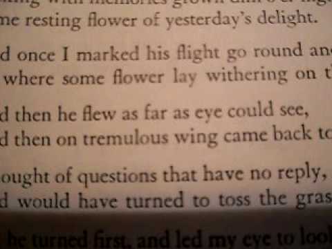 The Tuft of Flowers by Robert Frost