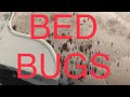 MY BUG GUY CAN’T KILL BEDBUGS! What do I do now? HOW DO I GET RID IF THESE BEDBUGS?