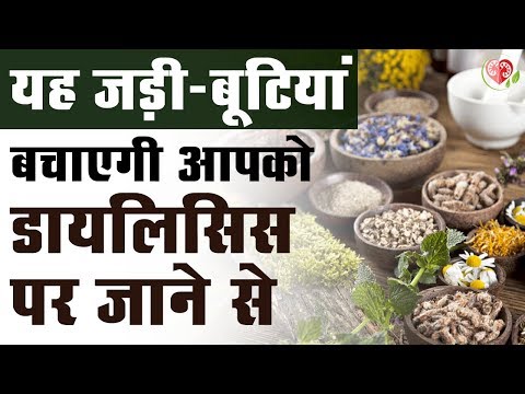 किडनी-को-स्वस्थ-रखने-के-लिए-हर्ब्स-और-ड्रिंक्स-|-dr-puneet-dhawan-|-karma-ayurveda
