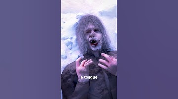 The Dyatlov Pass Incident 😨