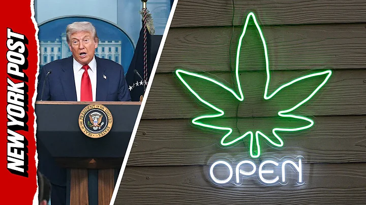 Trump Eyeing Reclassifying Marijuana as a Less Dangerous Drug