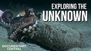 Tracking the Rarest Creatures of the Philippines | Nigel Marven's Wild Philippines
