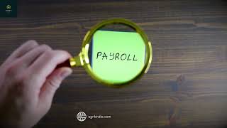 How To Manage Your Payroll Management System