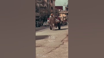 #قرآن #قران_كريم #تلاوة_خاشعة #راحة_نفسية #اكسبلور #المصحف #هدوء #تلاوة_هادئة