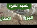A Poor Sheep النعجه الفقيره 