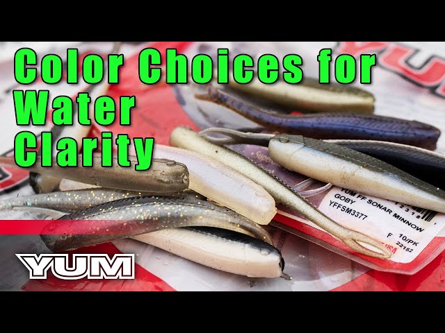 How Jason Christie Chooses the Best YUM FF Sonar Minnow Colors for