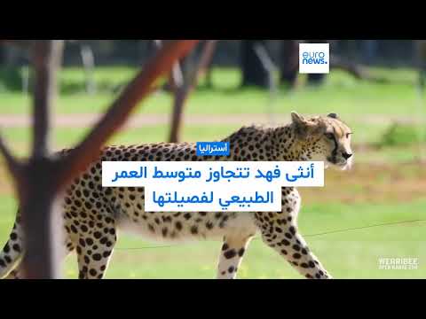 فهدة أسترالية تتحدى العمر ببرنامج صحي مبتكر