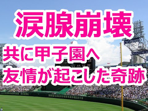 プロ野球感動秘話 野球界で起きた感動ストーリー Youtube プロ野球感動秘話 野球界で起きた感動ストーリー Youtube