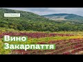 Вино Закарпаття · Ukraїner
