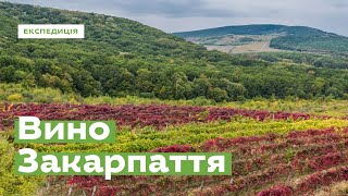 Вино Закарпаття · Ukraїner