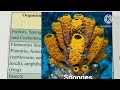 Organs of respiratory exchange (Part-2)