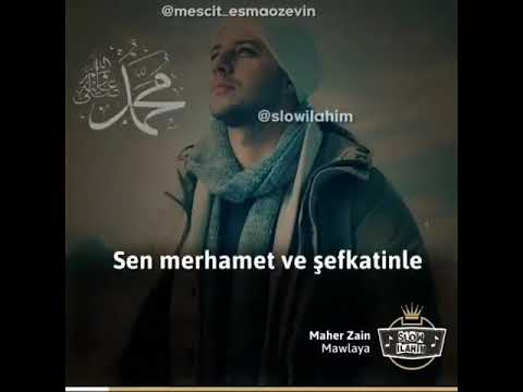 Maher zain mawlaya turkish version