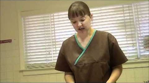 Thumbnail of Veterinary Surgery Techniques - Jane Homann of Full Circle Veterinary Care
