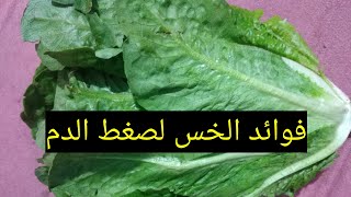 فوائد الخس لضغط الدم المرتفع