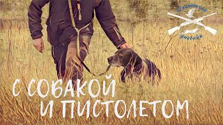 Натаска легавой по куропатке. (Охотничий Дневник №7)