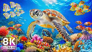 Amazing 8K Ocean Adventure 🐳 Dive Deep and Marvel at Sea Animal in The Best 8K ULTRA HD Aquarium #10