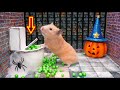 Hamster escapes halloween maze