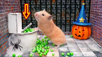 🎃Hamster Escapes Halloween Maze🎃