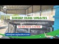 From build to harvest an update on our shrimp farming journey