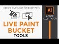 How to Use the Live Paint Bucket Tool and Live Paint Selection Tool in Adobe Illustrator CC