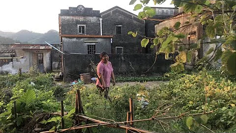 另一条“梅氏”聚居的台山Taishan端芬镇锦江村委的冲凌长安、高华村。遇见一位健谈乐观、笑声爽朗的端芬农妇。 - 天天要闻